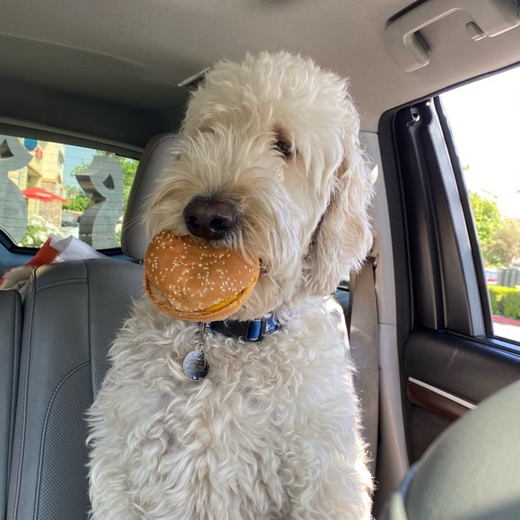 Meet your Posher, Audrey - Picture 3 of 7